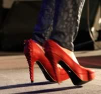 redshoes-300x279.jpg (19kb)
